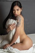 Foto Akita Trans Asiatica Annunci Sexy Transescort Padova 3894245796 - 1