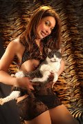 Foto Alessa Venezuelana Annunci Sexy Escort Verbania 3533541305 - 34