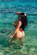 Foto Alessandre Xxii Annunci Sexy Trans Gallarate 3317852006 - 39