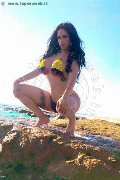 Foto Alessandra Xxii Annunci Sexy Transescort Gallarate 3317852006 - 47