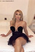 Foto Angel Bunny Annunci Sexy Transescort Verona 3474642611 - 6