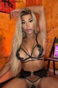 Foto Angel Jade Pornostar Annunci Sexy Transescort Roma 3485661010 - 111