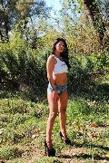 Foto Anne Dior Annunci Sexy Escort Piacenza 3511991492 - 11