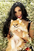 Foto Ariadna Annunci Sexy Transescort Bologna 3887519396 - 76
