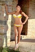 Foto Ariadna D'alessandro Annunci Sexy Trans Perugia 3925046434 - 82