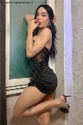 Foto Arielli Collins Annunci Sexy Transescort Roma 3533891489 - 1