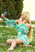Foto Barbie Argentina Annunci Sexy Transescort Grosseto 3885689591 - 5