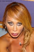 Foto Brenda Vip Annunci Sexy Trans Mariano Comense 3290290668 - 52