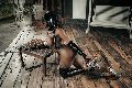 Foto Campbell Annunci Sexy Transescort Padova 3933357541 - 150