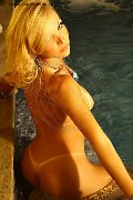 Foto Carla Novaes Pornostar Annunci Sexy Trans Milano 3203414051 - 234
