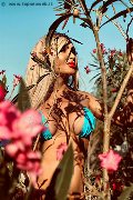 Foto Chrystal Medeiros Pornostar Annunci Sexy Transescort Roma 3898313619 - 35