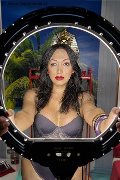 Foto Desirre Annunci Sexy Trans Reggio Calabria 3922832689 - 7