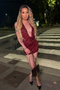 Foto Duda Castro Annunci Sexy Transescort Milano 3293898373 - 10