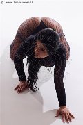 Foto Erika Annunci Sexy Girl Avellino 3385964983 - 17