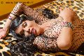 Foto Erotika Flavy Star Annunci Sexy Trans Bergamo 3387927954 - 230