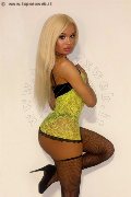Foto Evelyn Domenicana Annunci Sexy Transescort Cuneo 3516154564 - 9