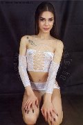 Foto Evelyn Red Annunci Sexy Trans Prato 3928773788 - 27