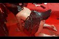 Foto Fantasia Annunci Sexy Mistress Padova 3485930348 - 48