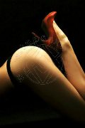 Foto Fenix Annunci Sexy Mistress Alessandria 3388830800 - 15