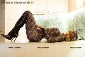 Foto Fernanda Ambrosio Annunci Sexy Trans Bologna 3277803350 - 17