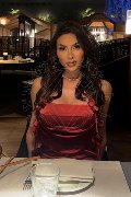 Foto Gabriela Lemos Annunci Sexy Trans Verona 3932598874 - 22