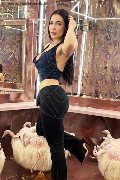 Foto Gabriella Hott Annunci Sexy Escort Bergamo 3930121014 - 13
