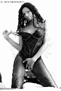 Foto Graicy Ohara Pornostar Annunci Sexy Trans Colonnella 3897696422 - 10