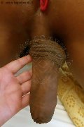 Foto Hot Deborah Ts Annunci Sexy Trans Cinisello Balsamo 3663416488 - 16