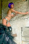 Foto Hot Erotika Flavy Star Annunci Sexy Transescort Bergamo 3387927954 - 4