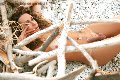 Foto Hot Giselly Bella Annunci Sexy Transescort Villa Rosa 3518461907 - 10