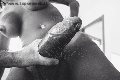 Foto Hot Paula Xxl Annunci Sexy Trans Cannes 3762961336 - 3