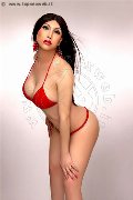 Foto Jade Annunci Sexy Trans Cinisello Balsamo 3898293343 - 83