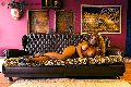 Foto Jessica Aryani Annunci Sexy Trans Brescia 3932507943 - 23