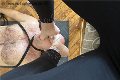 Foto Julia Annunci Sexy Mistress Cuneo 3762329100 - 13