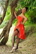 Foto Keylla Marques Pornostar Xxl Annunci Sexy Transescort Fortaleza 3337112655 - 71