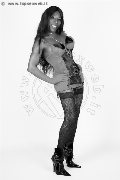 Foto La Black Star Jussara Carioca Annunci Sexy Trans Karlsruhe 004915205446913 - 6