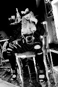 Foto Lady Ale Cavallona Annunci Sexy Mistresstrans Legnano 3508935739 - 1