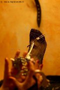 Foto Lady De Sade Italy Annunci Sexy Mistress Marina Di Carrara 3392160761 - 6