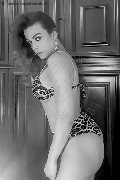 Foto Leah Annunci Sexy Transescort Pisa 3803804823 - 114