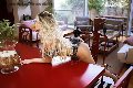 Foto Leticia Annunci Sexy Transescort Milano 3286843782 - 39