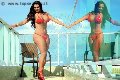 Foto Letizia Sallis Pornostar Annunci Sexy Transescort Borghetto Santo Spirito 3883037099 - 232