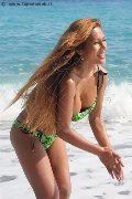 Foto Liisa Asiatica Ladyboy Annunci Sexy Transescort 3489026722 - 311
