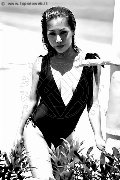 Foto Liisa Asiatica Ladyboy Annunci Sexy Transescort 3489026722 - 373