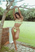 Foto Luisa Kynnolly Annunci Sexy Transescort Milano 3520902031 - 107
