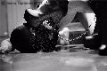 Foto Madame Jacqueline Domina Annunci Sexy Mistress Vicenza 3884822293 - 23