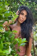 Foto Mandy Asiatica Annunci Sexy Transescort Firenze 3270531479 - 2