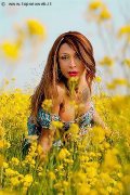 Foto Monica Kicelly Annunci Sexy Transescort Parma 3245833097 - 202