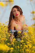 Foto Monica Kicelly Annunci Sexy Transescort Parma 3245833097 - 201