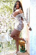 Foto Pamela Santina Annunci Sexy Trans Massa 3281998233 - 48