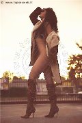 Foto Paula Bituschini Annunci Sexy Transescort Brescia 3898857998 - 159